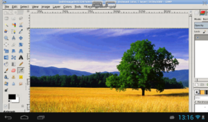 XGimp Image Editor 1