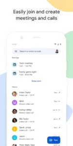 Google Meet 1