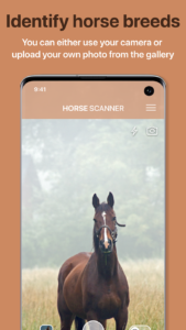 Horse Scanner 1