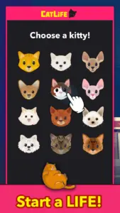 BitLife Cats – CatLife 1